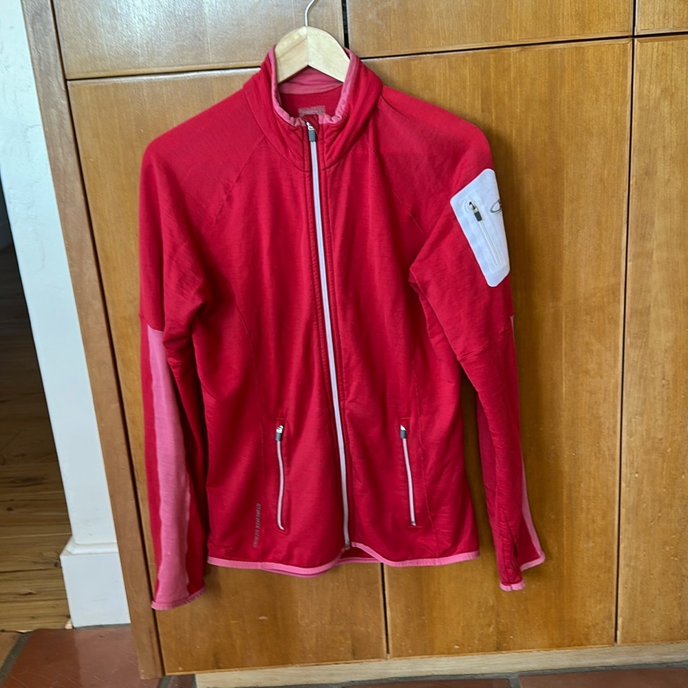 Icebreaker merino wool sweatshirt